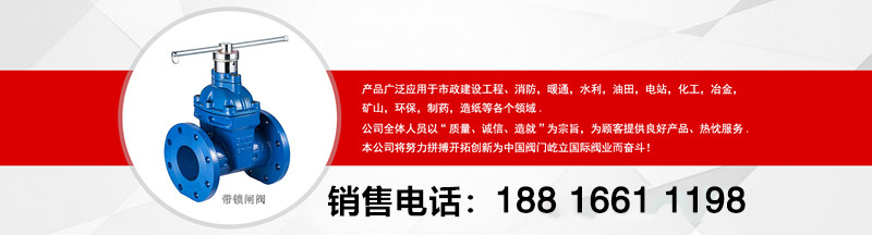埃維柯閥門(mén)AVKFM